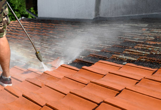 Best Concrete Pressure Washing  in Vienna, IL