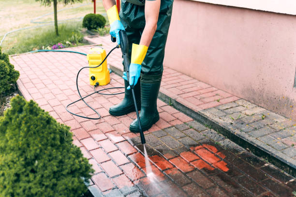 Best Roof Power Washing Services  in Vienna, IL