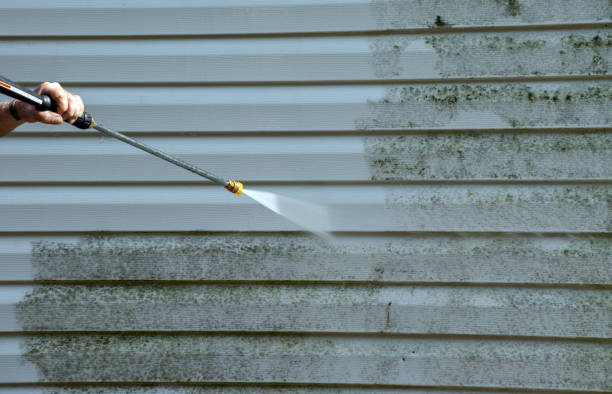 Why Choose Our Certified Pressure Washing Experts for Your Project Needs in Vienna, IL?