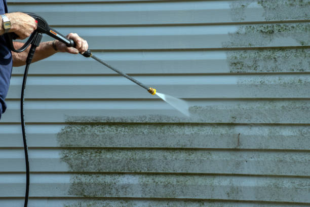 Local Pressure Washing Services in Vienna, IL