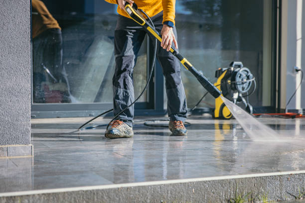 Best Garage Pressure Washing  in Vienna, IL