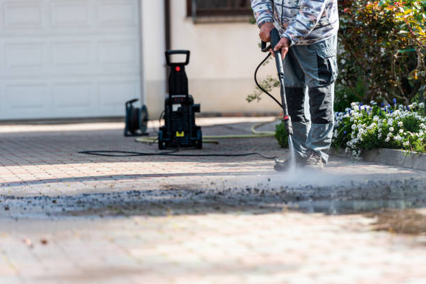 Best Local Pressure Washing Services  in Vienna, IL