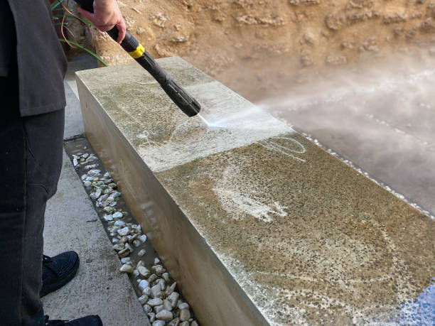 Best Fence Pressure Washing  in Vienna, IL