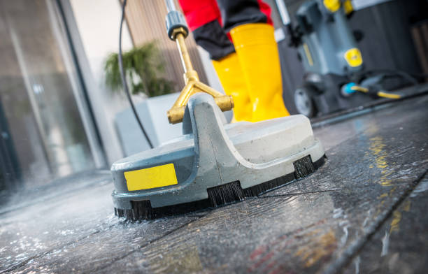 Best Best Pressure Washing Companies  in Vienna, IL