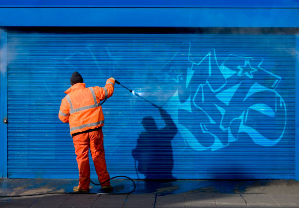 Best Commercial Building Pressure Washing  in Vienna, IL