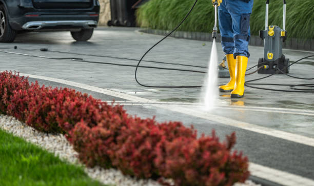 Best Sidewalk Pressure Washing  in Vienna, IL