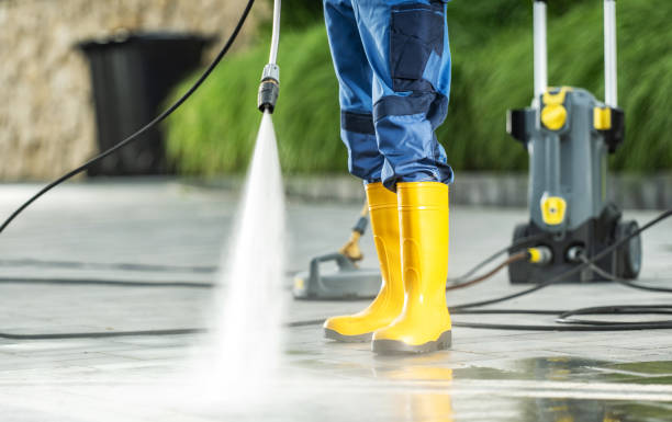 Best Deck Cleaning Services  in Vienna, IL