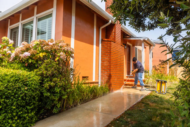 Best Pressure Washing Brick  in Vienna, IL