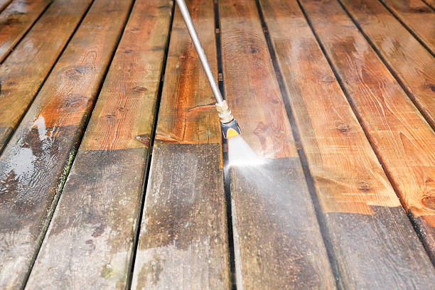 Best Roof Pressure Washing  in Vienna, IL
