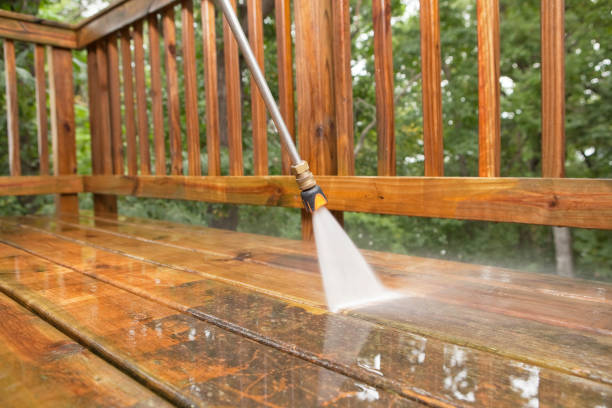 Best Affordable Power Washing  in Vienna, IL