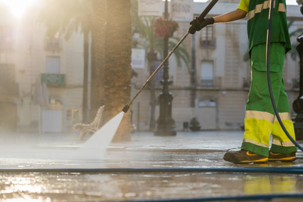 Best Exterior Home Cleaning  in Vienna, IL
