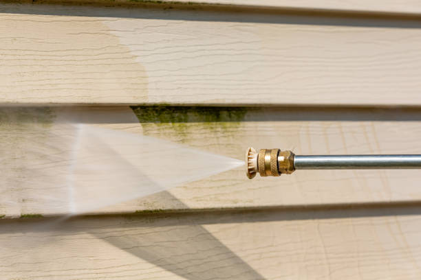 Best Garage Pressure Washing  in Vienna, IL