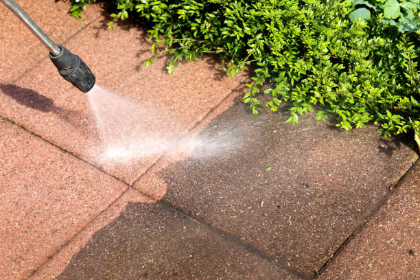  Vienna, IL Pressure Washing Pros